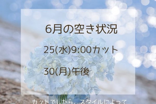 6月の空き状況です🌴