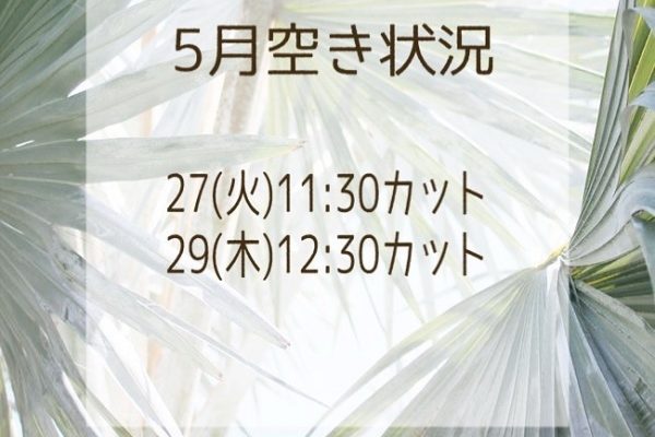 5月の空き状況です🍀*゜